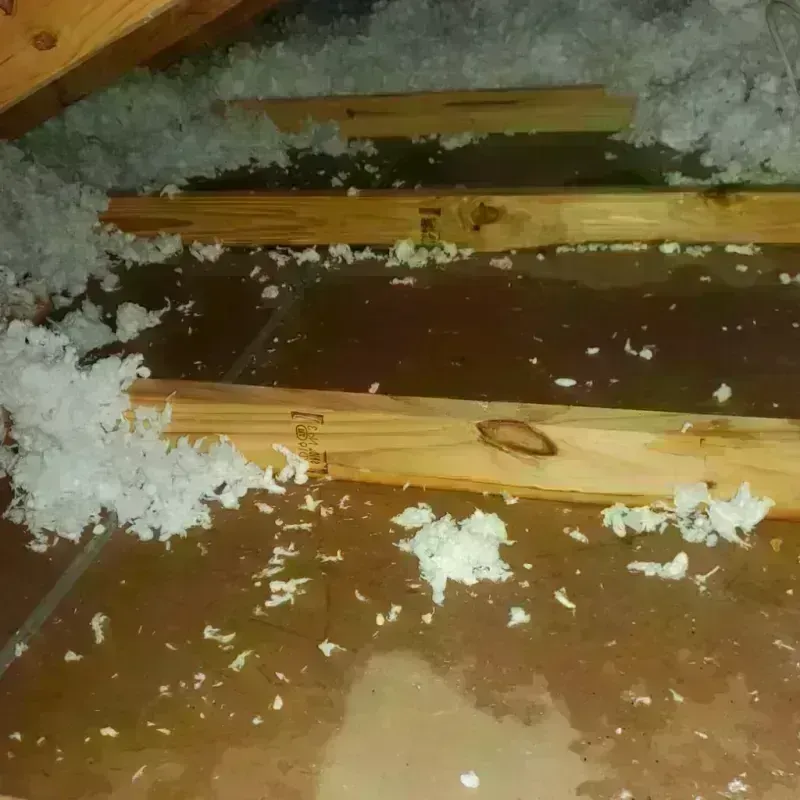 Attic Water Damage in Graham, NC