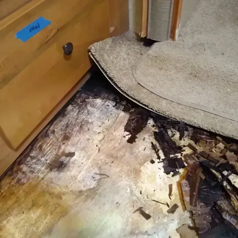 Wood Floor Water Damage in Graham, NC